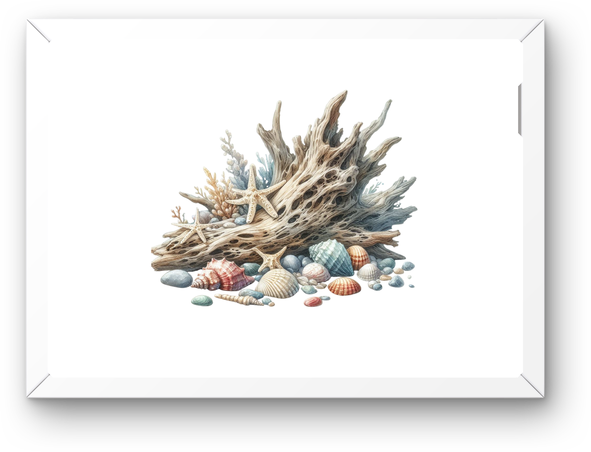 Coastal Driftwood Seashell Wall Art | Watercolor Beach Treasure Print | Nautical Coastal Home Gift