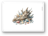 Thumbnail for Coastal Driftwood Seashell Wall Art | Watercolor Beach Treasure Print | Nautical Coastal Home Gift